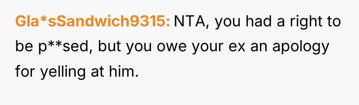 Gla*sSandwich9315 NTA, you had a right to be p**sed, but...