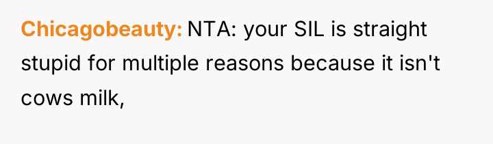 Chicagobeauty NTA: your SIL is straight stupid for multiple reasons...