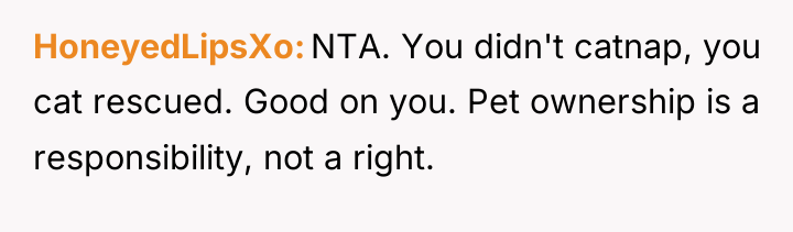 HoneyedLipsXo NTA. You didn't catnap, you cat rescued. Good on...