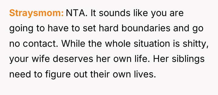 Straysmom NTA. It sounds like you are going to have...