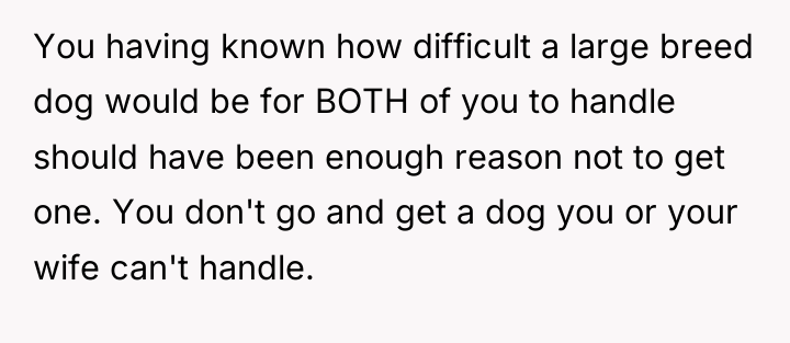 You having known how difficult a large breed dog would...