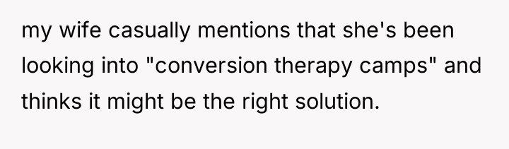 my wife casually mentions that she's been looking into "conversion...