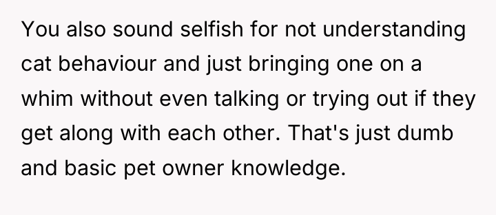 You also sound selfish for not understanding cat behaviour and...