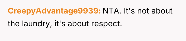 CreepyAdvantage9939 NTA. It's not about the laundry, it's about respect.