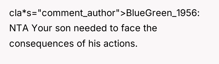 cla*s="comment_author">BlueGreen_1956: NTA Your son needed to face the consequences of...
