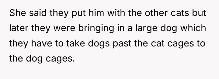 She said they put him with the other cats but...