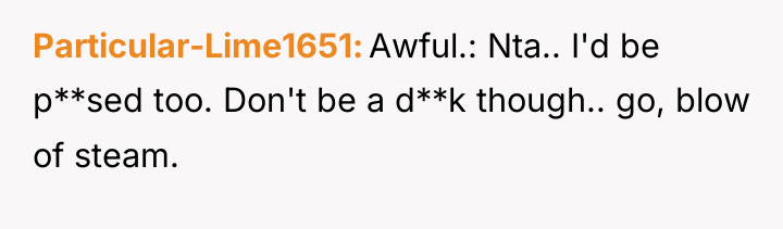 Particular-Lime1651 Awful.: Nta.. I'd be p**sed too. Don't be a...