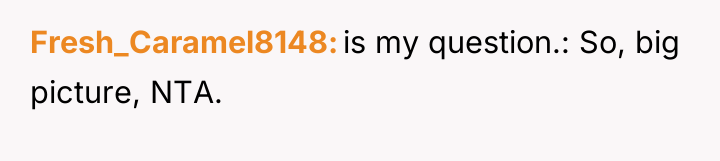 Fresh_Caramel8148 is my question.: So, big picture, NTA.
