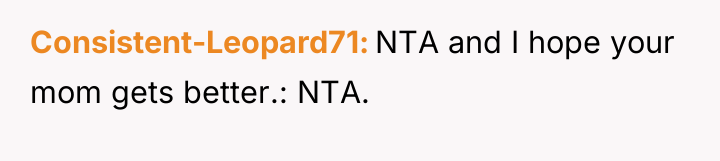 Consistent-Leopard71 NTA and I hope your mom gets better.: NTA.