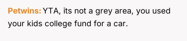 Petwins YTA, its not a grey area, you used your...