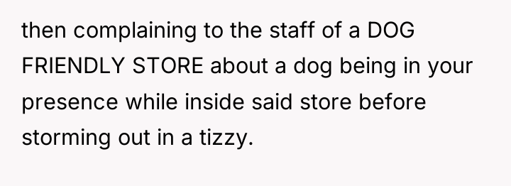 then complaining to the staff of a DOG FRIENDLY STORE...