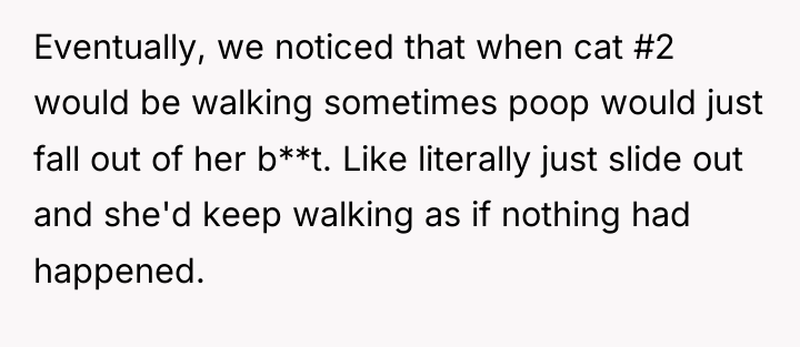 Eventually, we noticed that when cat #2 would be walking...