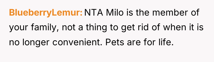 BlueberryLemur NTA Milo is the member of your family, not...