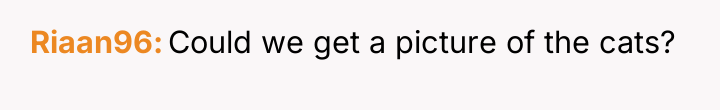 Riaan96 Could we get a picture of the cats?