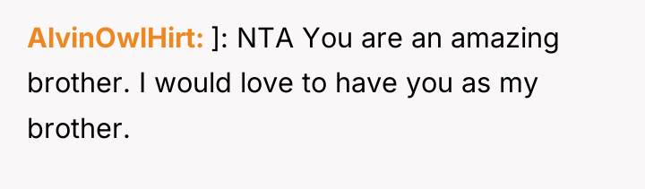 AlvinOwlHirt ]: NTA You are an amazing brother. I would...