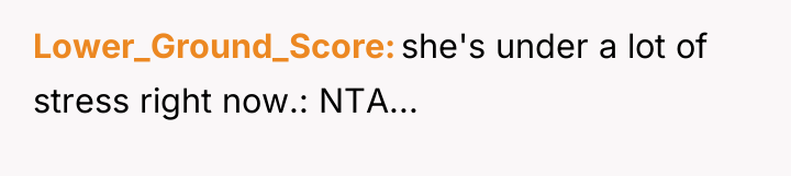Lower_Ground_Score she's under a lot of stress right now.: NTA...