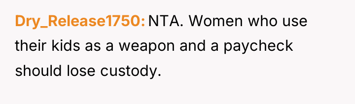 Dry_Release1750 NTA. Women who use their kids as a weapon...