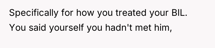 Specifically for how you treated your BIL. You said yourself...