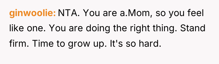 ginwoolie NTA. You are a.Mom, so you feel like one....