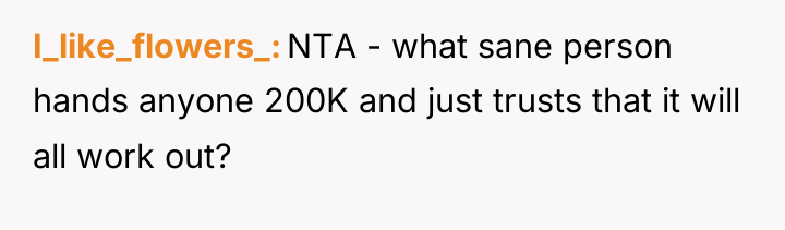 I_like_flowers_ NTA - what sane person hands anyone 200K and...