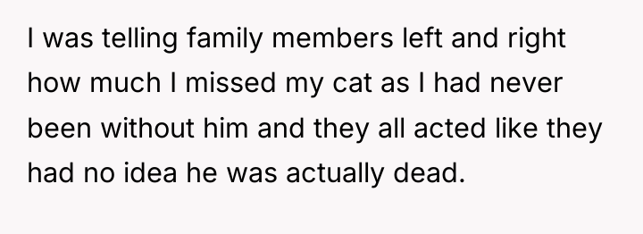 I was telling family members left and right how much...