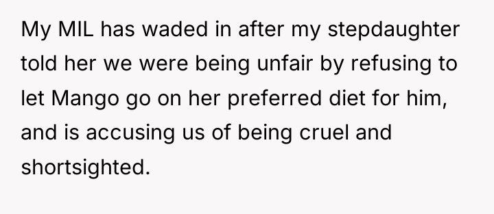 My MIL has waded in after my stepdaughter told her...