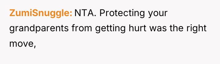 ZumiSnuggle NTA. Protecting your grandparents from getting hurt was the...