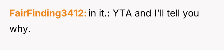 FairFinding3412 in it.: YTA and I'll tell you why.