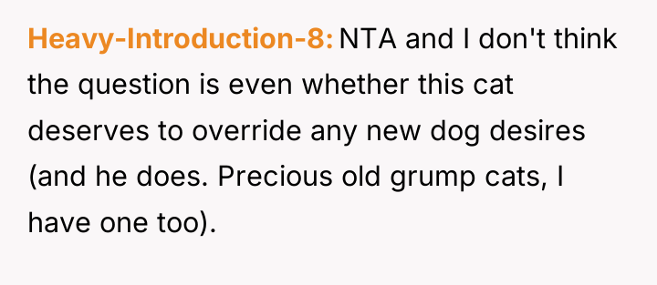 Heavy-Introduction-8 NTA and I don't think the question is even...