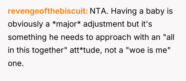 revengeofthebiscuit NTA. Having a baby is obviously a *major* adjustment...