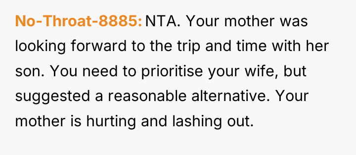 No-Throat-8885 NTA. Your mother was looking forward to the trip...