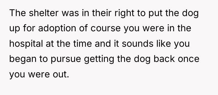 The shelter was in their right to put the dog...