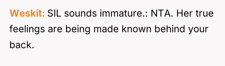 Weskit SIL sounds immature.: NTA. Her true feelings are being...