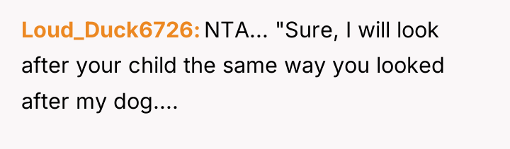 Loud_Duck6726 NTA... "Sure, I will look after your child the...