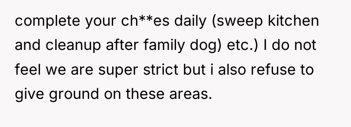 complete your ch**es daily (sweep kitchen and cleanup after family...