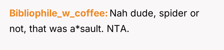 Bibliophile_w_coffee Nah dude, spider or not, that was a*sault. NTA.