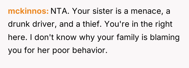 mckinnos NTA. Your sister is a menace, a drunk driver,...