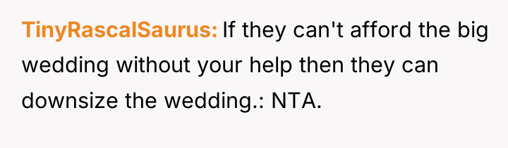 TinyRascalSaurus If they can't afford the big wedding without your...