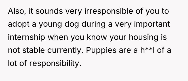 Also, it sounds very irresponsible of you to adopt a...