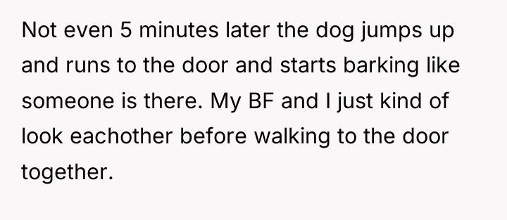 Not even 5 minutes later the dog jumps up and...
