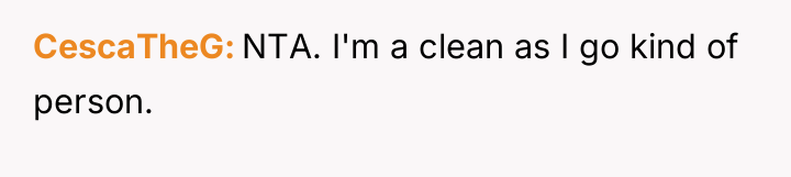 CescaTheG NTA. I'm a clean as I go kind of...