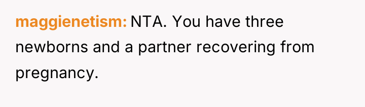 maggienetism NTA. You have three newborns and a partner recovering...