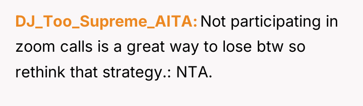 DJ_Too_Supreme_AITA Not participating in zoom calls is a great way...