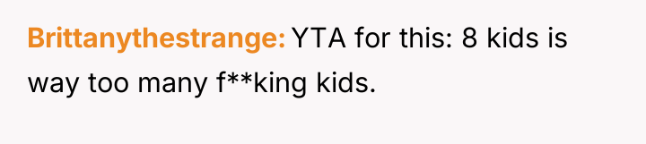 Brittanythestrange YTA for this: 8 kids is way too many...