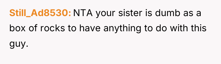 Still_Ad8530 NTA your sister is dumb as a box of...