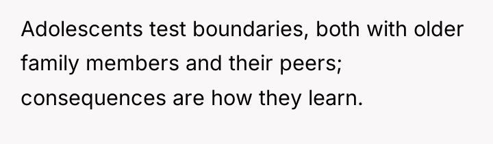 Adolescents test boundaries, both with older family members and their...