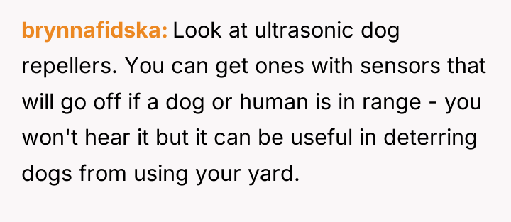 brynnafidska Look at ultrasonic dog repellers. You can get ones...