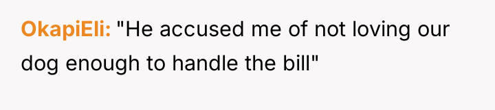 OkapiEli "He accused me of not loving our dog enough...