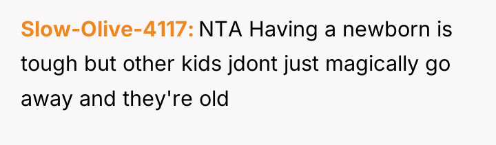 Slow-Olive-4117 NTA Having a newborn is tough but other kids...