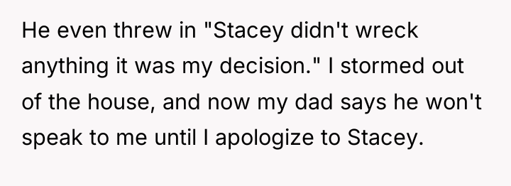 He even threw in "Stacey didn't wreck anything it was...